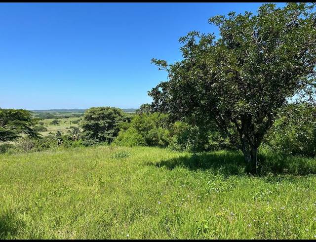 LAND FOR SALE IN ZINI RIVER ESTATE